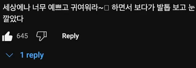 퓨마🐆는 눈을 가리면 깜짝 놀란다