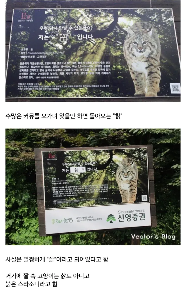 반전의 반전이 있었던, 레전드 짤