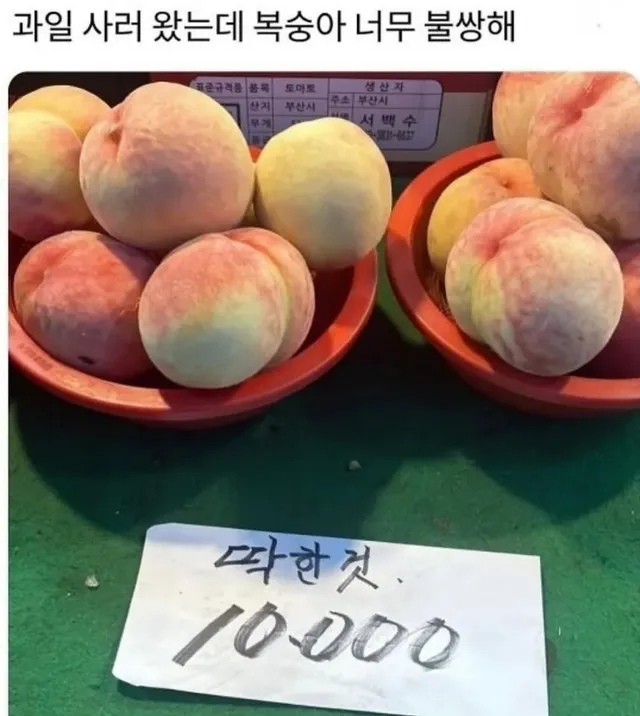 과일 사러 왔는데 복숭아 너무 불쌍해.