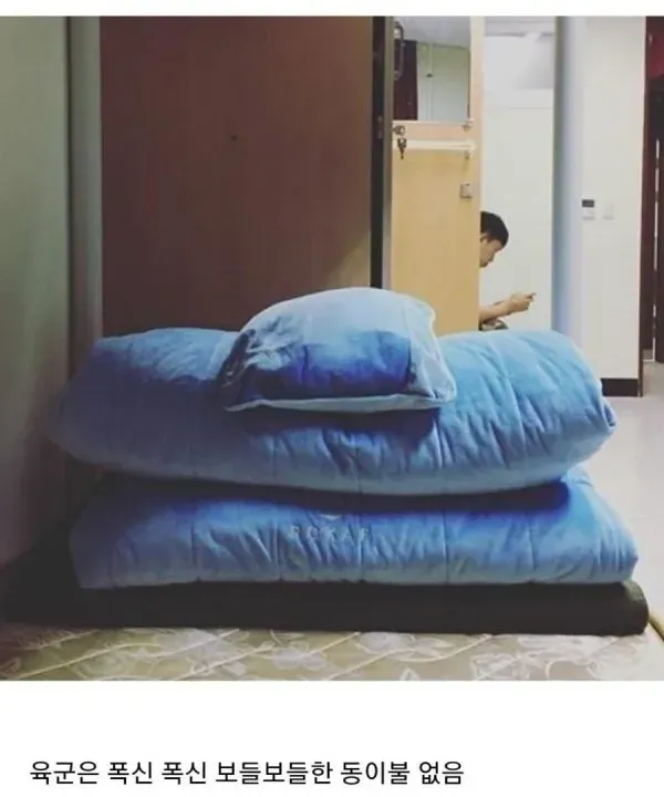 육군과 공군이 서로 놀란다는 부분