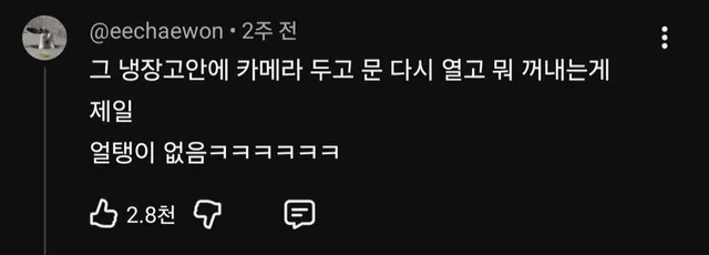 브이로그는 전부 가짜라는 여배우