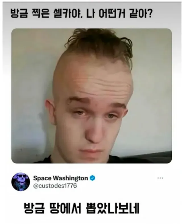 방금 찍은 셀카야. 나 어떤거 같아?