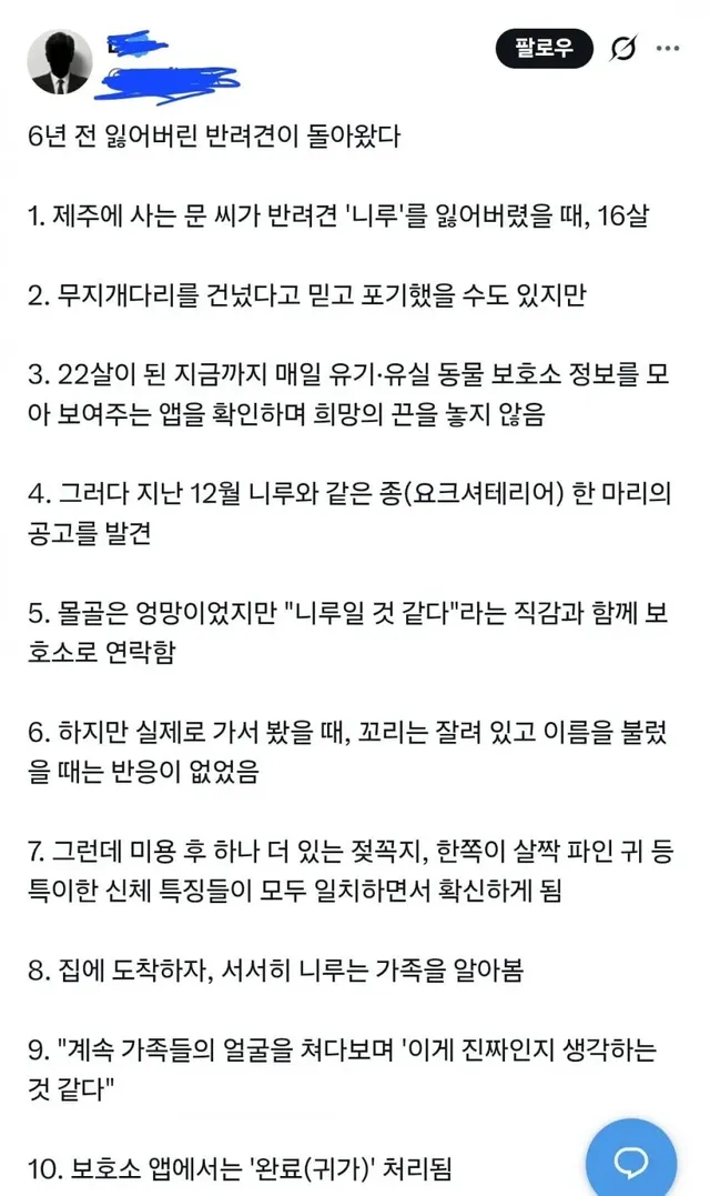 6년전 잃어버린 강아지가 돌아왔다