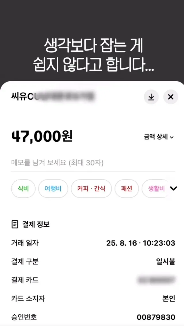 카드 잃어버려서 170만원 긁혔는데 범인 못잡음.jpg