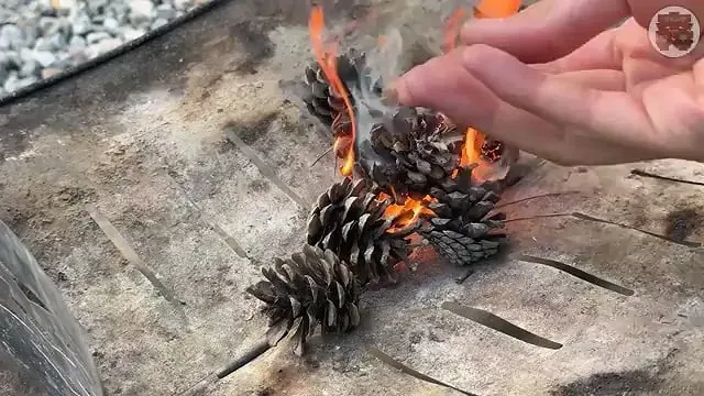 캠핑장에서 한식?을 해먹는 일본인