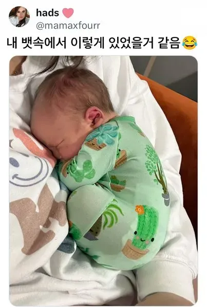 뱃속에서 이렇게 있었을 거 같음