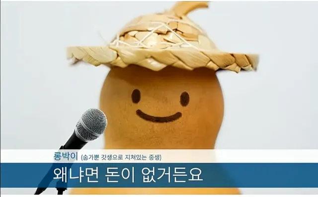 불교 굿즈 근황