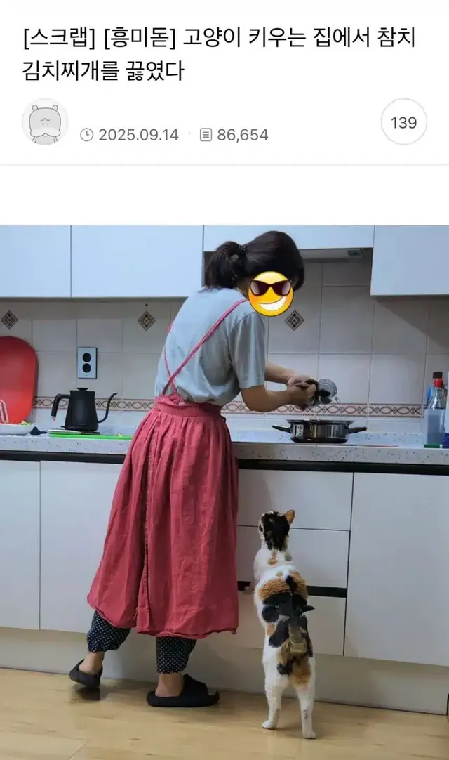 고양이 키우는 집에서 참치찌개를 끓였다