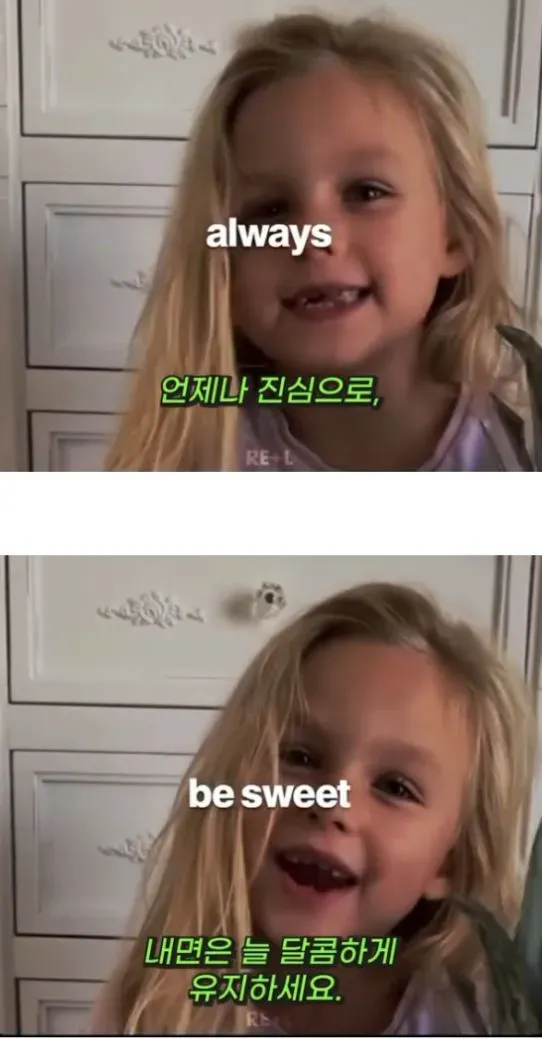 파인애플처럼 살아가세요