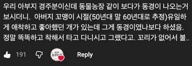 🇰🇷 한국인도 모르는 진짜 토종견 ‘동경이’ 🐶