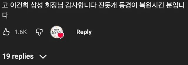 🇰🇷 한국인도 모르는 진짜 토종견 ‘동경이’ 🐶