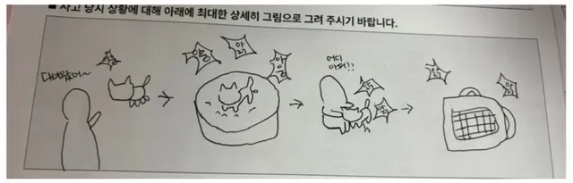 펫보험 청구하는데 그림 그리래.