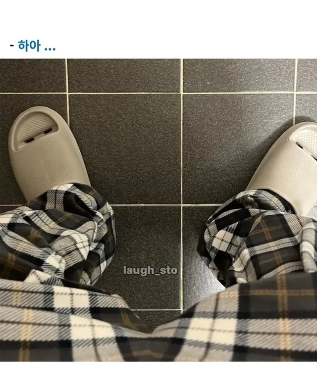 정체불명의 버섯을 먹어본 디시인.jpg