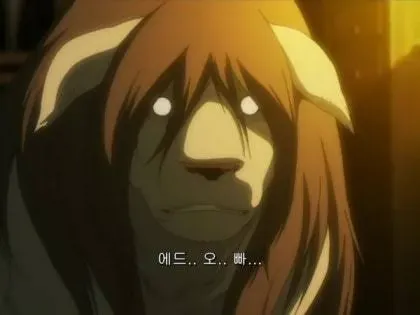 뭔가 수상한 보더콜리