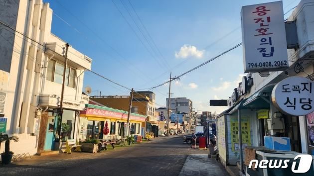 서귀포시 대정읍 방어축제의 거리 전경./뉴스1