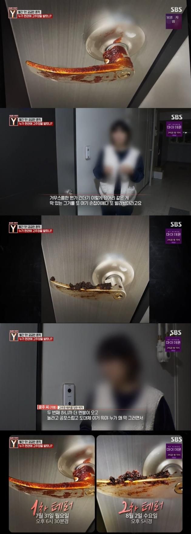 (SBS '궁금한 이야기Y' 갈무리)