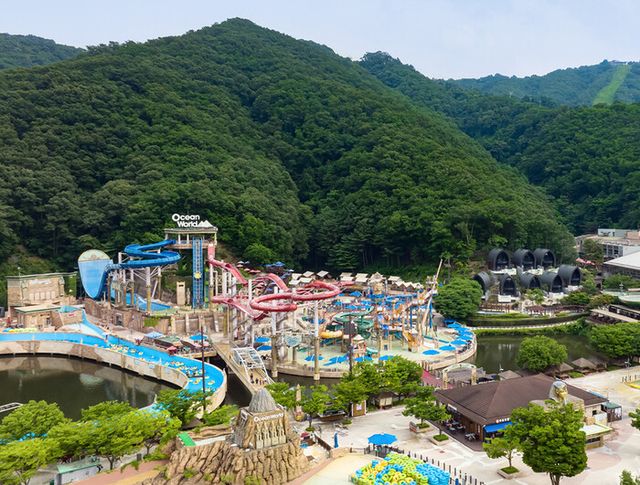 오션월드 (강릉)