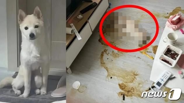 (인스타그램 갈무리) / DBC뉴스