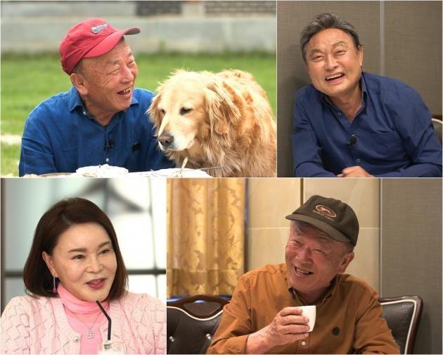 TV조선 / DBC뉴스