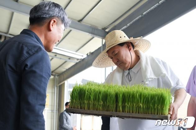 윤석열 대통령이 7일 충남 부여군 임천면 '꿈에영농조합법인'의 모내기 작업 현장을 방문해 모내기를 체험하고 있다. (대통령실 제공) 2023.6.7/뉴스1 ⓒ News1 오대일 기자