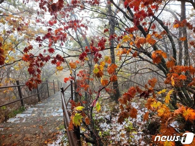 원주 치악산 비로봉 정상(해발 1288m).ⓒ News1 DB