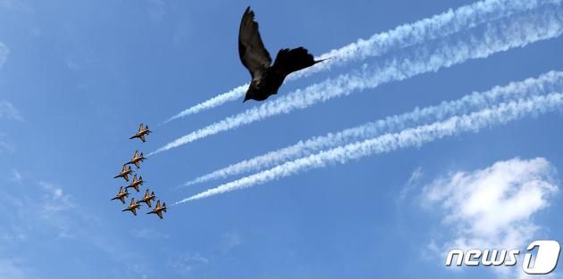 공군 특수비행팀 블랙이글스가 31일 서울 여의도 한강공원 상공에서 제75주년 국군의 날 축하비행 예행연습을 하고 있다. 2023.8.31/뉴스1 ⓒ News1 박지혜 기자
