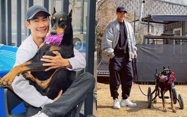 지극정성으로 벨을 돌본 배정남&nbsp; /사진=인스타그램