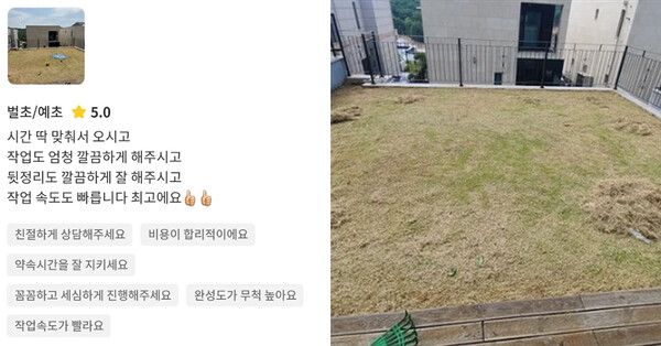 캡의 예초 작업에 대한 고객의 후기 /사진=인스타그램