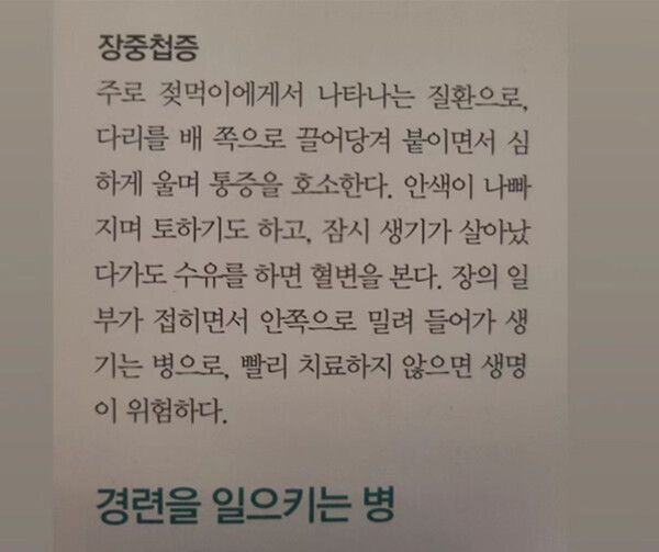 '장중첩증' 질환에 대한 설명 /사진=인스타그램