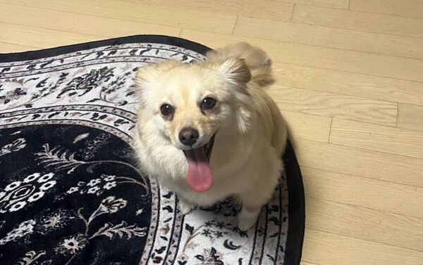 청이의 활짝 웃는 모습 /사진=인스타그램