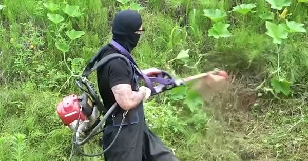 예초 아르바이트를 하는 캡의 모습 /사진='직업의 모든것' 유튜브