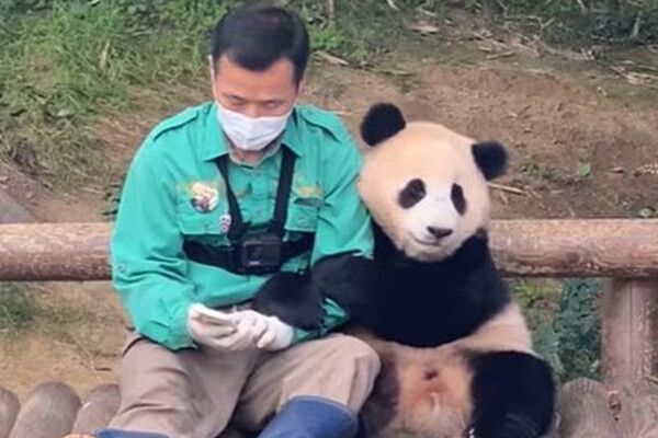 /출처-에버랜드 유튜브