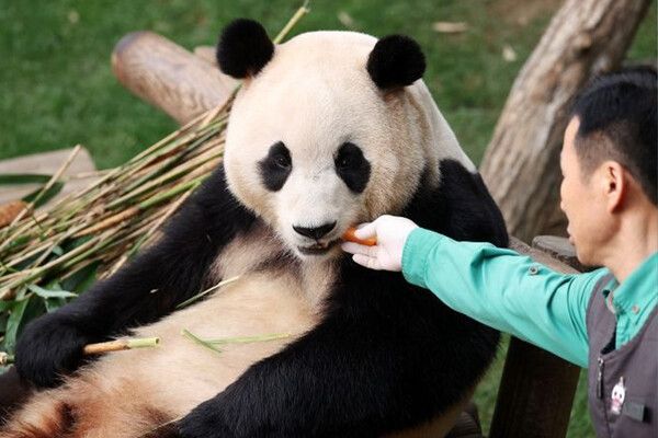 /출처-에버랜드 유튜브