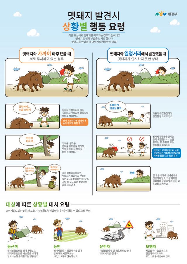 멧돼지 발견시 상황별 행동요령