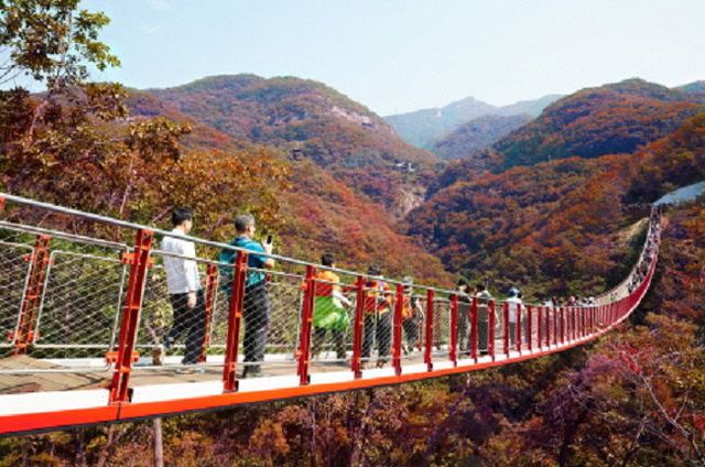 파주로 '주말단풍 여행' 가요!