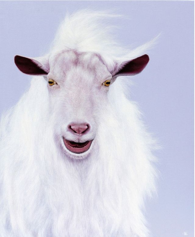 KakaoTalk_20231117_130937587_01