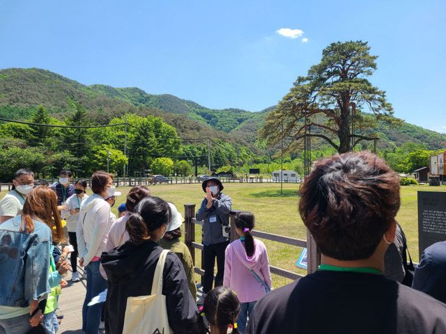 정이품송 마실가자