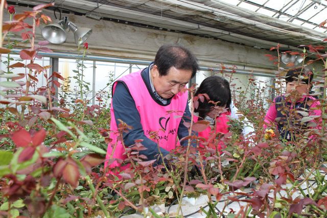 사본 -송기섭 진천군수 봉사활동 사진