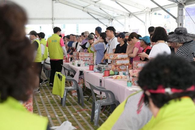 조치원복숭아축제_4