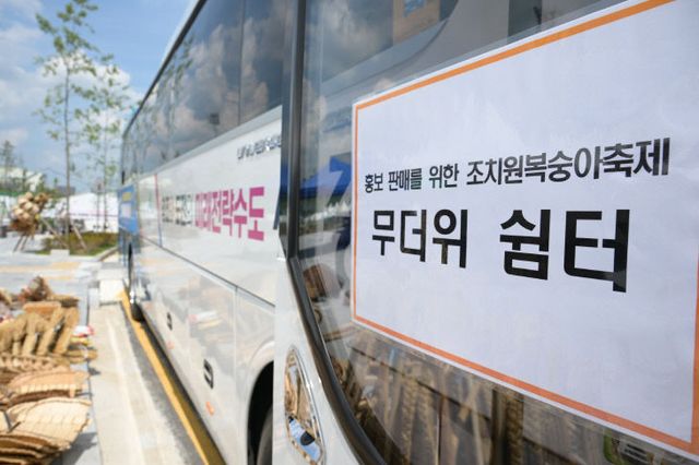 조치원복숭아축제_6