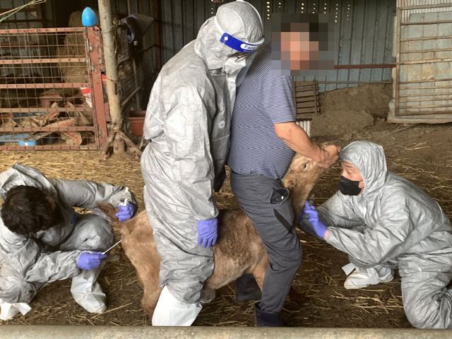 가축방역평가우수지자체선정(동물위생방역과)_1