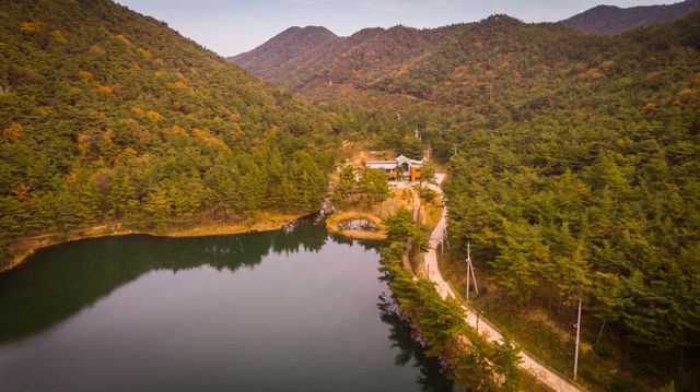 서천 치유의 숲 전경