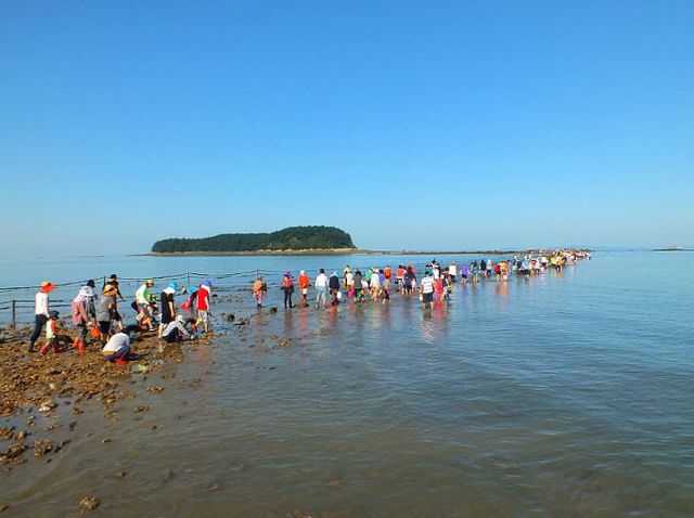 무창포신비의바닷길(인)