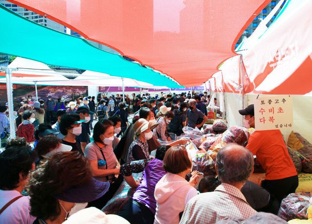 1-3 사진(2023영양고추HOT페스티벌 사전홍보)