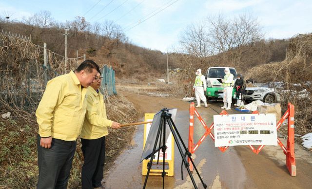 파주시, 아프리카돼지열병(ASF) 발생에 따른 신속 대응 총력