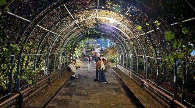 KakaoTalk_20241013_070246169_02