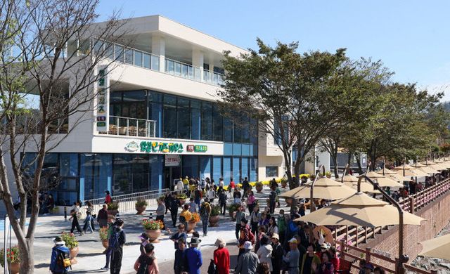 1. 옥정호 핫플레이스 임실N치즈하우스 오픈4