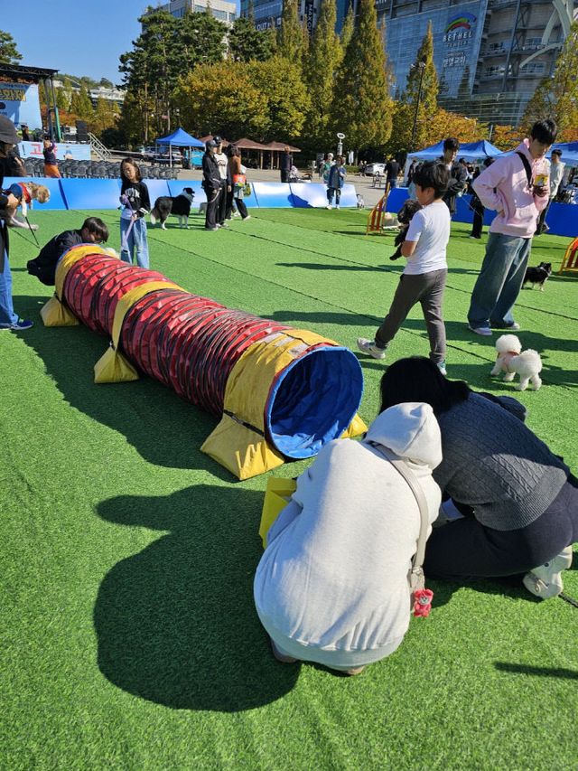 3. 2024 고양 동물교감치유 문화제 성료 (3)