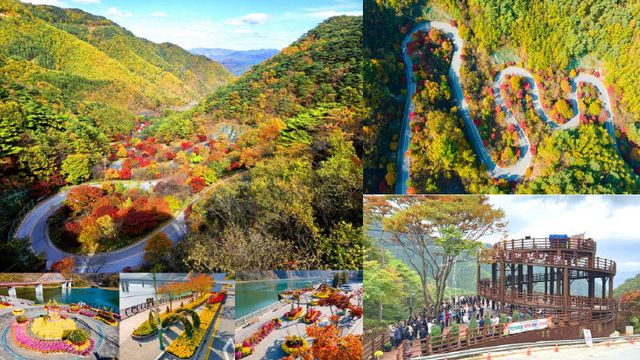 단양에 단풍들이 만연하며 가을이 찾아왔음을 알렸다