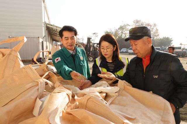 보은군 공공비축미곡 건조벼 매입